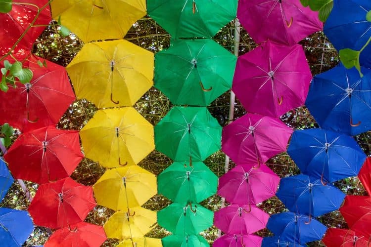 Beat the Heat with Style: Enhance Your Outdoor Space with a Shade Canopy