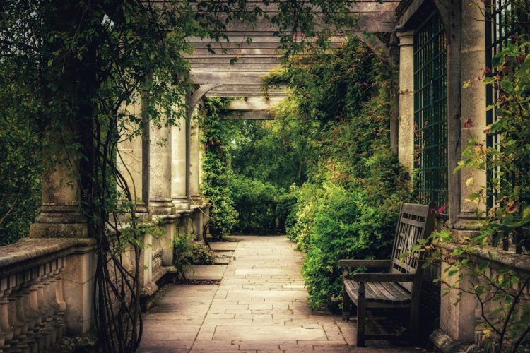 10 Creative Pergola Ideas to Elevate Your Outdoor Living Space